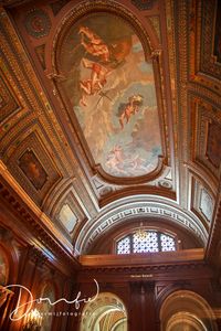 ceiling-public-library-nyc-2