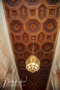 ceiling-public-library-nyc