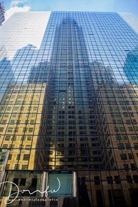 reflection-building-nyc